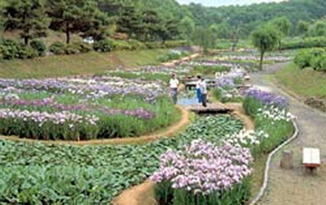 【10%割引】能登町立 柳田村植物公園